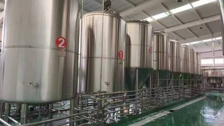 勐腊日产10吨精酿啤酒设备多少钱？2026年全套报价帮你算明白